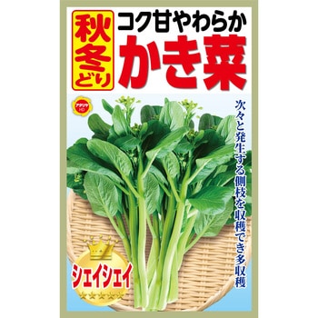 【種 たね タネ】コク甘やわらか 秋冬どり かき菜 アタリヤ農園