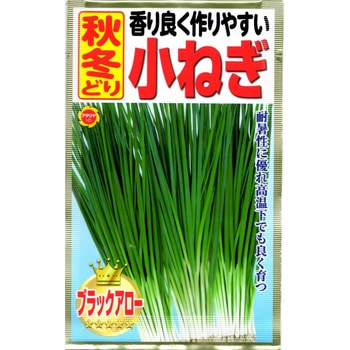 【種 たね タネ】香り良く作りやすい 秋冬どり 小ねぎ アタリヤ農園