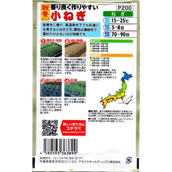 【種 たね タネ】香り良く作りやすい 秋冬どり 小ねぎ アタリヤ農園