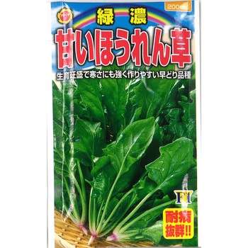 【種 たね タネ】緑濃 甘いほうれん草 アタリヤ農園