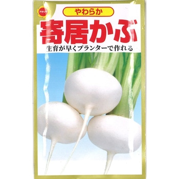 【種 たね タネ】やわらか 寄居かぶ アタリヤ農園