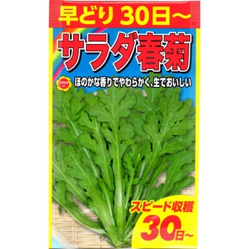 【種 たね タネ】早どり サラダ春菊 しゅんぎく アタリヤ農園