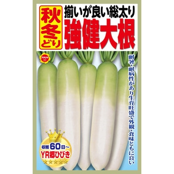 【種 たね タネ】揃いが良い総太り 秋冬どり 強健大根 アタリヤ農園