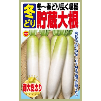 363806 y  ^lz~`tǂ蒷n ~ǂ 卪 A^_ 59091990
