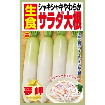 【種 たね タネ】シャキシャキやわらか 生食 サラダ大根 アタリヤ農園