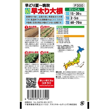 【種 たね タネ】早どり夏～晩秋 60日 早太り大根 - アタリヤ農園