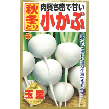 【種 たね タネ】肉質ち密で甘い 秋冬どり 小かぶ アタリヤ農園
