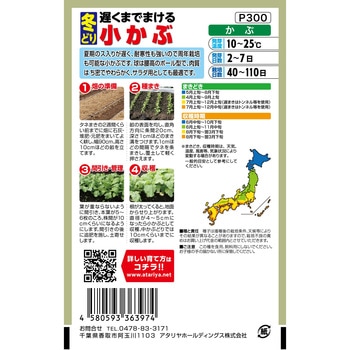 【種 たね タネ】遅くまでまける 冬どり 小かぶ アタリヤ農園
