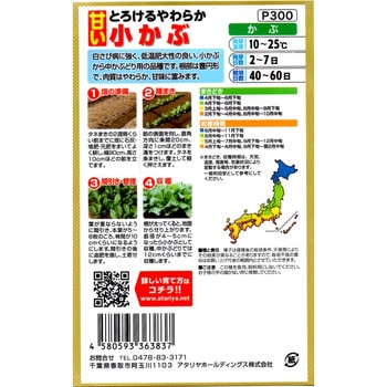 【種 たね タネ】とろけるやわらか 甘い 小かぶ アタリヤ農園