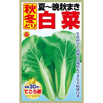 【種 たね タネ】夏～晩秋まき 秋冬どり 白菜 アタリヤ農園