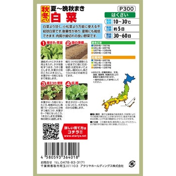 【種 たね タネ】夏～晩秋まき 秋冬どり 白菜 アタリヤ農園