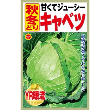 【種 たね タネ】甘くてジューシー 秋冬どり キャベツ アタリヤ農園