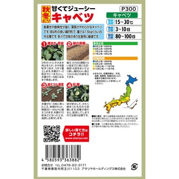 【種 たね タネ】甘くてジューシー 秋冬どり キャベツ - アタリヤ農園