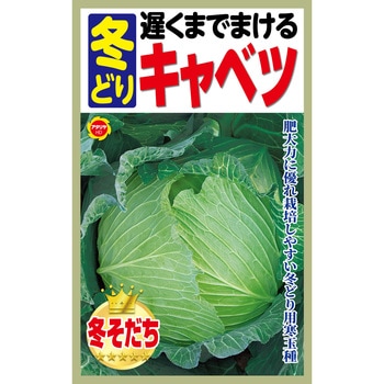 【種 たね タネ】遅くまでまける 冬どり キャベツ アタリヤ農園