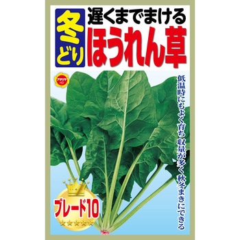 【種 たね タネ】遅くまでまける 冬どり ほうれん草 アタリヤ農園
