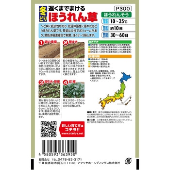 【種 たね タネ】遅くまでまける 冬どり ほうれん草 アタリヤ農園