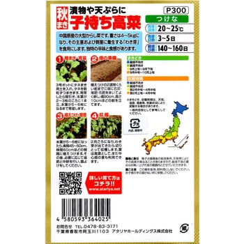 【種 たね タネ】漬物や天ぷらに 秋まき 子持ち高菜 アタリヤ農園