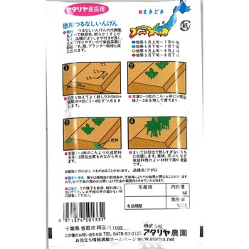 【種 たね タネ】お徳用 つるなしいんげん豆 アタリヤ農園