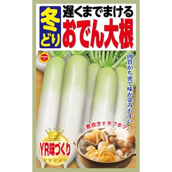 【種 たね タネ】遅くまでまける 冬どり おでん大根 アタリヤ農園