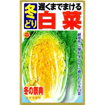 【種 たね タネ】遅くまでまける 冬どり 白菜 アタリヤ農園