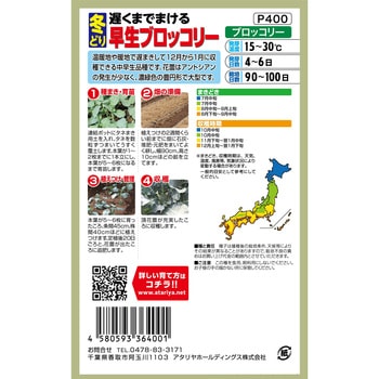 【種 たね タネ】遅くまでまける 冬どり 早生ブロッコリー アタリヤ農園