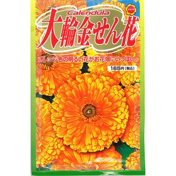【種 たね タネ】大輪金せん花 アタリヤ農園