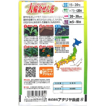 【種 たね タネ】大輪金せん花 アタリヤ農園