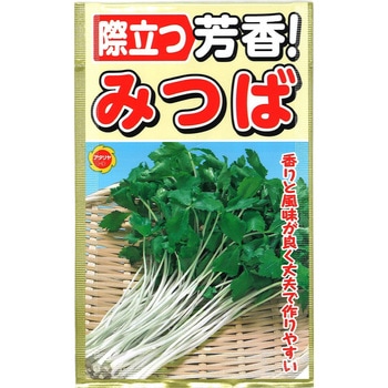 【種 たね タネ】際立つ 芳香! みつば アタリヤ農園