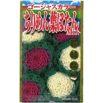 【種 たね タネ】ゴージャスカラー ちりめん葉ぼたん Mix 花 アタリヤ農園