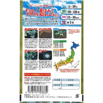 【種 たね タネ】ゴージャスカラー ちりめん葉ぼたん Mix 花 アタリヤ農園
