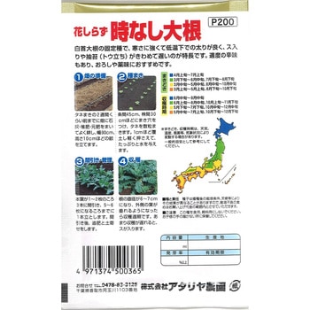 【種 たね タネ】花しらず 時なし大根 アタリヤ農園