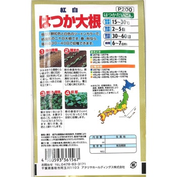 【種 たね タネ】紅白 はつか大根 だいこん アタリヤ農園