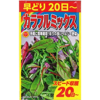 【種 たね タネ】早どり20日～ カラフルミックス アタリヤ農園