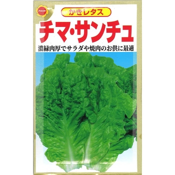 【種 たね タネ】かきレタス チマ・サンチュ アタリヤ農園