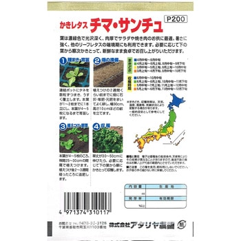 【種 たね タネ】かきレタス チマ・サンチュ アタリヤ農園