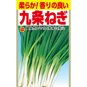 【種 たね タネ】柔らか!香りの良い 九条ねぎ アタリヤ農園
