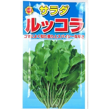 【種 たね タネ】サラダ ルッコラ アタリヤ農園