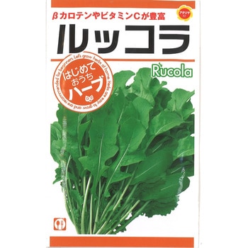 【種 たね タネ】ルッコラ はじめておうちハーブ アタリヤ農園