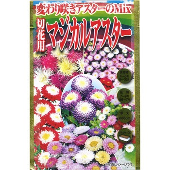 【種 たね タネ】変わり咲アスターのMix 切花用マジカルアスター 花 アタリヤ農園