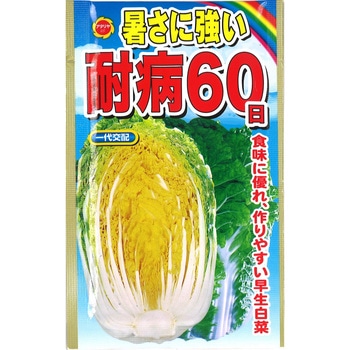 【種 たね タネ】暑さに強い 耐病60日 白菜 はくさい アタリヤ農園