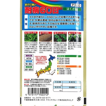 【種 たね タネ】暑さに強い 耐病60日 白菜 はくさい アタリヤ農園