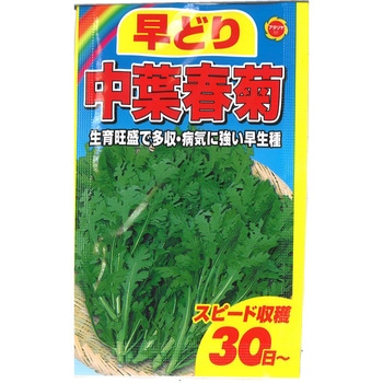 【種 たね タネ】早どり30日～ 中葉春菊 しゅんぎく アタリヤ農園
