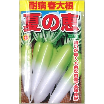 【種 たね タネ】耐病春大根 夏の恵 アタリヤ農園