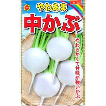 【種 たね タネ】やわあま 中かぶ アタリヤ農園