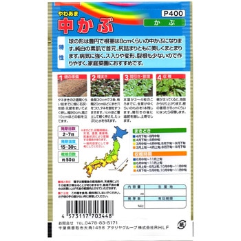 【種 たね タネ】やわあま 中かぶ アタリヤ農園