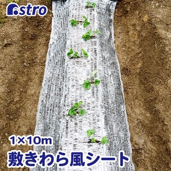 敷きわら風 キラキラシート1×10m アストロ