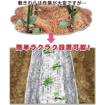 敷きわら風 キラキラシート1×10m アストロ