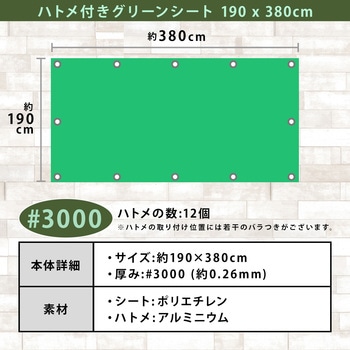 ハトメ付きグリーンシート 190×380cm アストロ