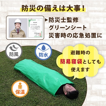 ハトメ付きグリーンシート 190×380cm アストロ