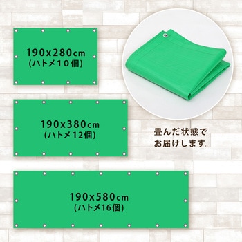 ハトメ付きグリーンシート 190×380cm アストロ